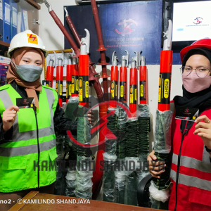 Hot Stick Telescopic